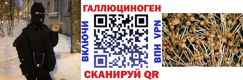Галлюциногенные грибы GOLDEN TEACHER  Скопин 